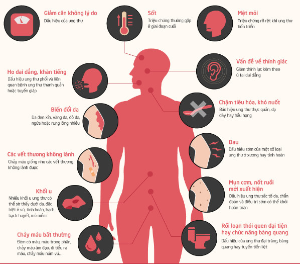 Tình Hình Ung Thư Việt Nam 2025: Số Liệu Cụ Thể & Thực Trạng Hiện Nay